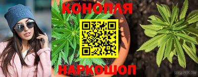 шишки Нягань